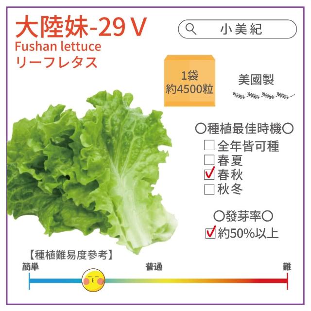【小美紀】高優質 種子(香菜 辣椒 北蒽 紅骨九層塔 空心菜 南瓜 大陸妹 蔬菜 盆栽 種子)