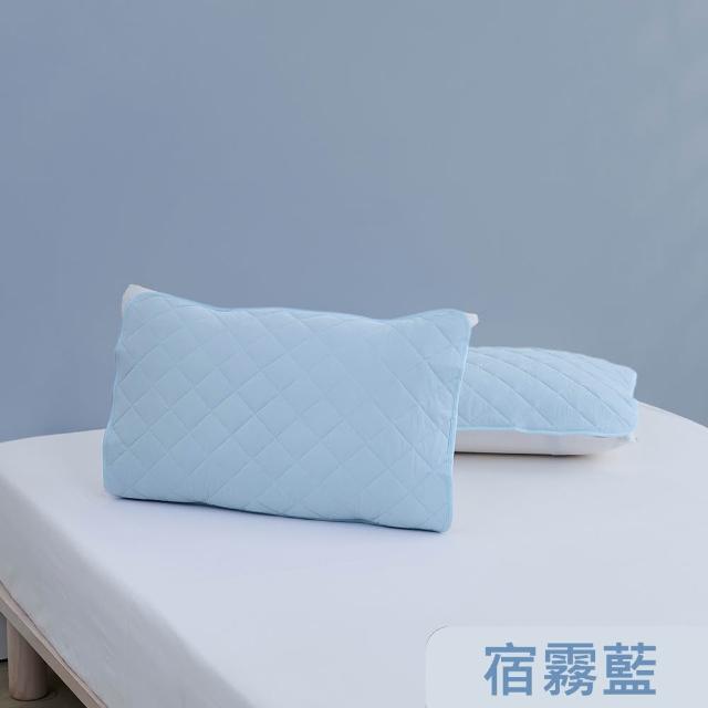 【Tonia Nicole 東妮寢飾】TopCool冰凍銀抗菌涼感枕頭保潔墊2入(八色任選)