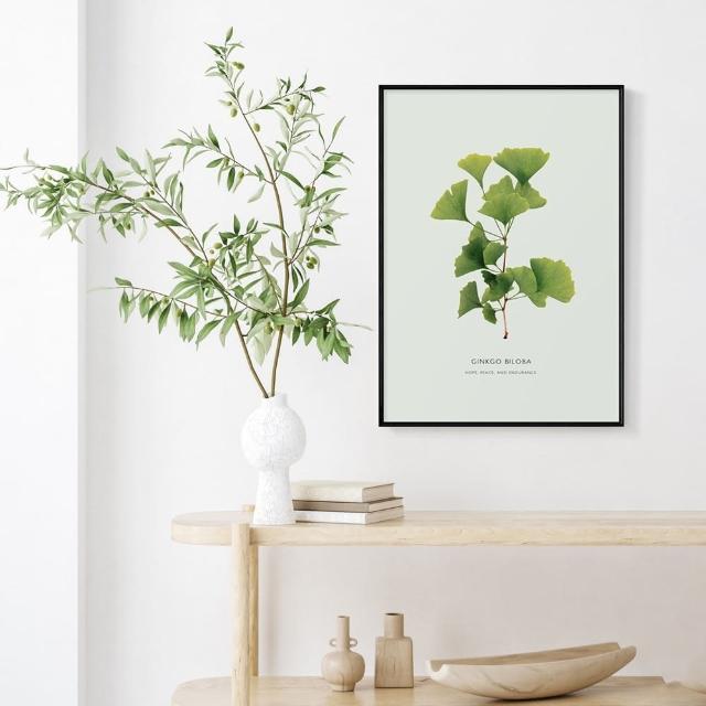 【菠蘿選畫所】清新療癒綠植系列掛畫-42x60cm(龜背竹相框掛牆/簡約植物攝影牆壁裝飾/臥室壁畫)