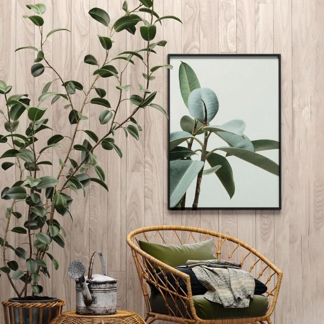 【菠蘿選畫所】清新療癒綠植系列掛畫-42x60cm(龜背竹相框掛牆/簡約植物攝影牆壁裝飾/臥室壁畫)
