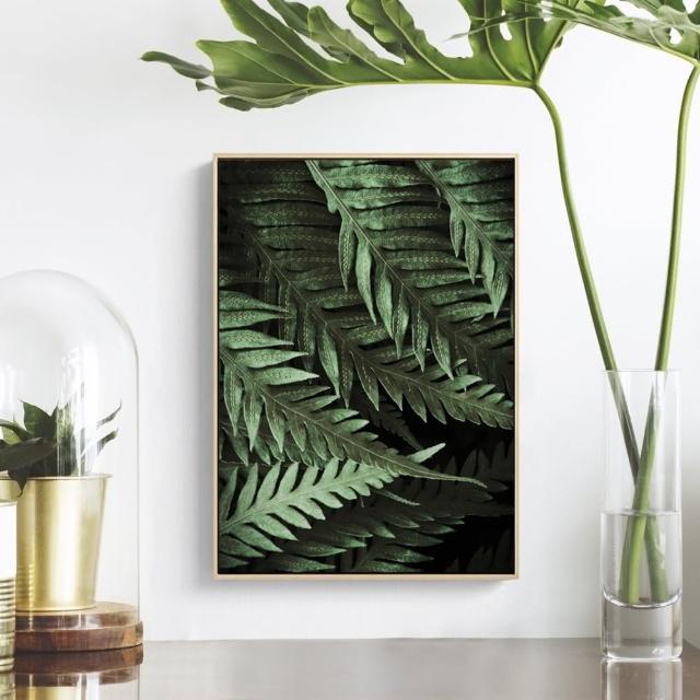 【菠蘿選畫所】清新療癒綠植系列掛畫-42x60cm(龜背竹相框掛牆/簡約植物攝影牆壁裝飾/臥室壁畫)