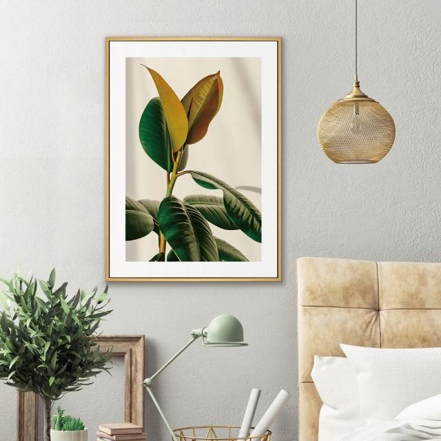【菠蘿選畫所】清新療癒綠植系列掛畫-42x60cm(龜背竹相框掛牆/簡約植物攝影牆壁裝飾/臥室壁畫)