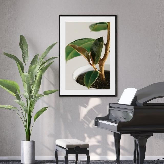 【菠蘿選畫所】清新療癒綠植系列掛畫-42x60cm(龜背竹相框掛牆/簡約植物攝影牆壁裝飾/臥室壁畫)