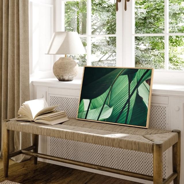 【菠蘿選畫所】清新療癒綠植系列掛畫-42x60cm(龜背竹相框掛牆/簡約植物攝影牆壁裝飾/臥室壁畫)