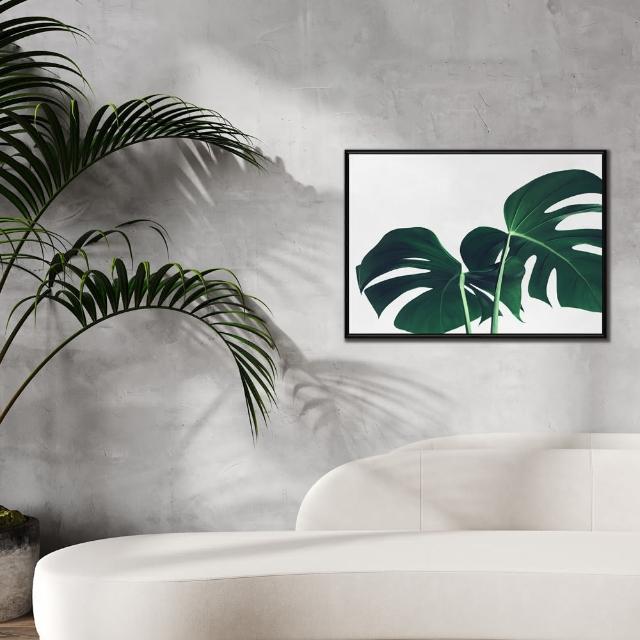 【菠蘿選畫所】清新療癒綠植系列掛畫-42x60cm(龜背竹相框掛牆/簡約植物攝影牆壁裝飾/臥室壁畫)