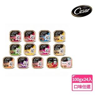 【Cesar 西莎】經典風味餐盒 100g*24入(狗罐/犬餐盒/熟齡犬/全齡適用)