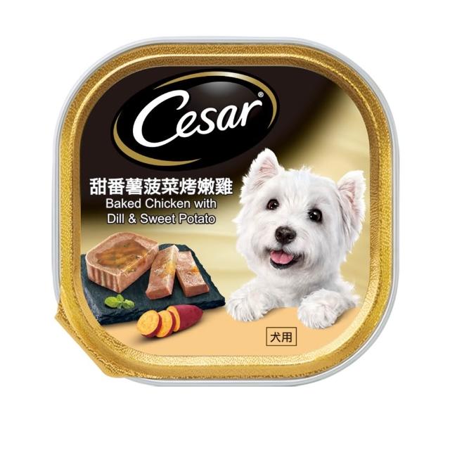 【Cesar 西莎】經典風味餐盒 100g*24入(狗罐/犬餐盒/熟齡犬/全齡適用)