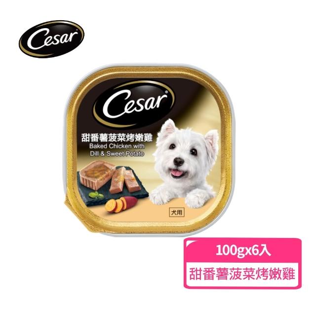 【Cesar 西莎】經典風味餐盒 100g*6入*4口味(任選) 寵物/狗罐頭/狗食