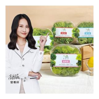 12073975 OL 【NICE GREEn 美蔬菜】美蔬菜盒4入含運組送4包沙拉醬(萵苣 生菜 沙拉 蔬菜 防疫健康組)