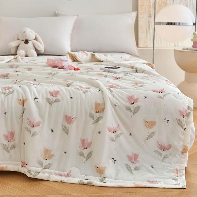【ALAI 寢飾工場】買1送1 涼夏韓版抗菌冰絲涼被 多款任選 150×200cm(可水洗/四季被/冰冰被/涼感絲/隨身被)