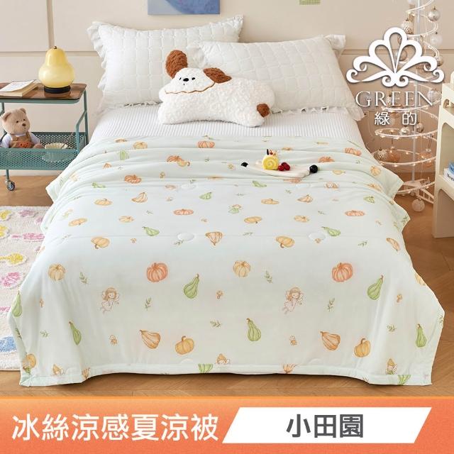 【綠的寢飾】買一送一 冰冰被 冰絲涼感夏涼被 多款任選(150×200cm 夏被/可機洗/四季被) 涼被/冷氣毯