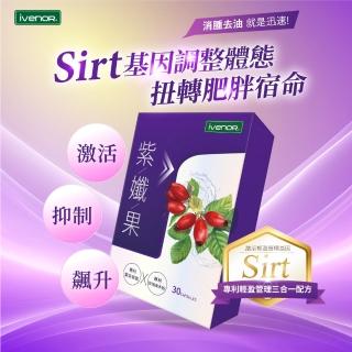 【iVENOR】專利玫瑰果多酚 紫孅果x5盒(30粒/盒  啟動代謝循環)