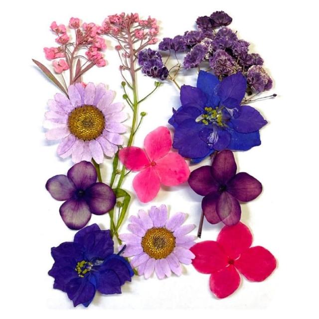 【A-ONE 匯旺】壓花材料 乾燥花材料 壓花 押花 手工壓花 植物 壓花DIY 乾花書籤