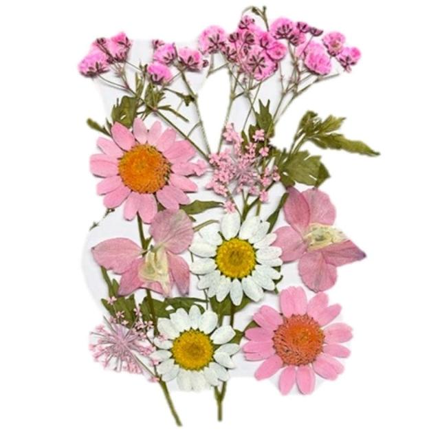【A-ONE 匯旺】壓花材料 乾燥花材料 壓花 押花 手工壓花 植物 壓花DIY 乾花書籤