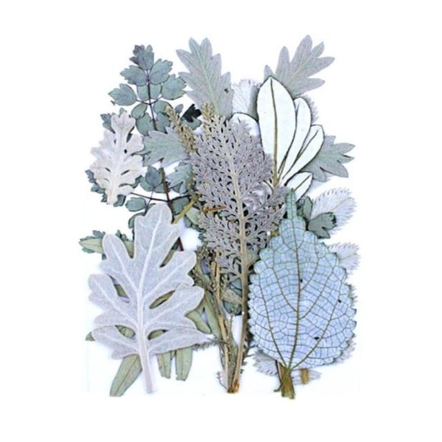 【A-ONE 匯旺】壓花材料 乾燥花材料 壓花 押花 手工壓花 植物 壓花DIY 乾花書籤