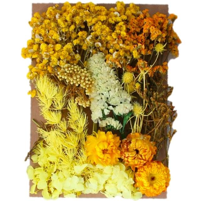 【A-ONE 匯旺】DIY藍色永生花材料包 多款多色 乾燥花材料包 情人節禮物 乾燥玫瑰 短枝花材 浮游花(C02)