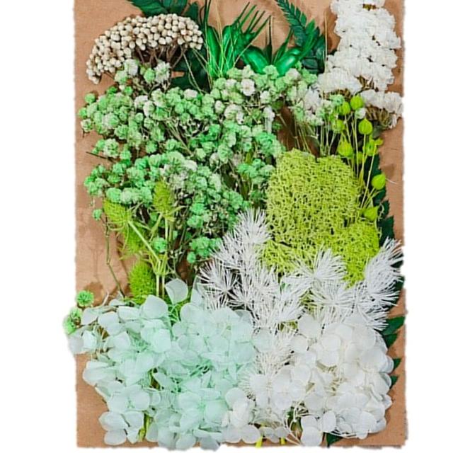 【A-ONE 匯旺】DIY藍色永生花材料包 多款多色 乾燥花材料包 情人節禮物 乾燥玫瑰 短枝花材 浮游花(C02)