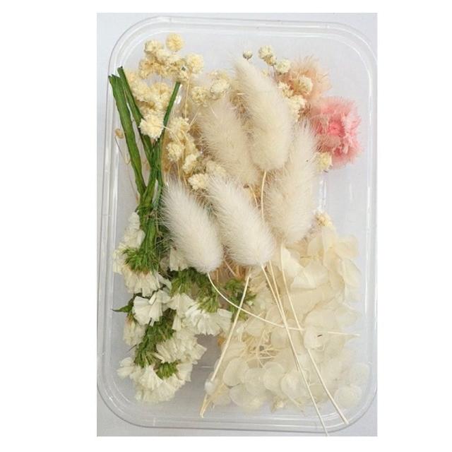 【A-ONE 匯旺】乾燥永生花 不凋滿天星 捧花胸花桌花花材 乾燥花束材料 不凋花玫瑰 鄉村風 拍攝道具(A10)