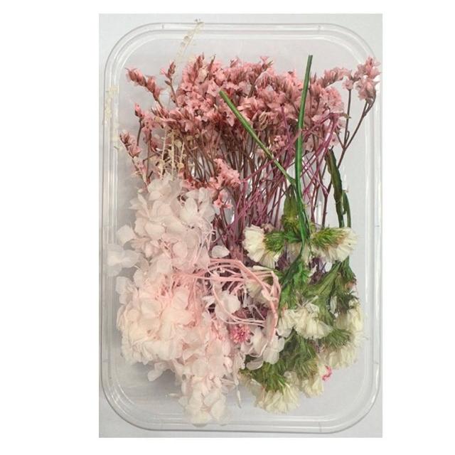 【A-ONE 匯旺】乾燥永生花 不凋滿天星 捧花胸花桌花花材 乾燥花束材料 不凋花玫瑰 鄉村風 拍攝道具(A10)