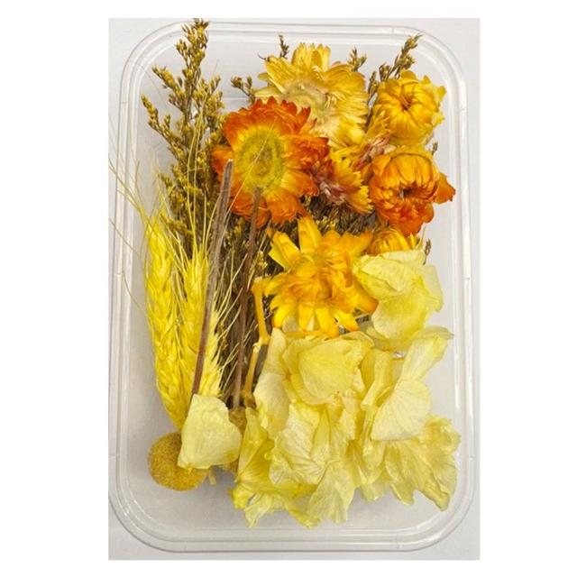 【A-ONE 匯旺】乾燥永生花 不凋滿天星 捧花胸花桌花花材 乾燥花束材料 不凋花玫瑰 鄉村風 拍攝道具(A10)
