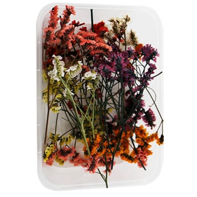 【A-ONE 匯旺】乾燥永生花 不凋滿天星 捧花胸花桌花花材 乾燥花束材料 不凋花玫瑰 鄉村風 拍攝道具(A10)