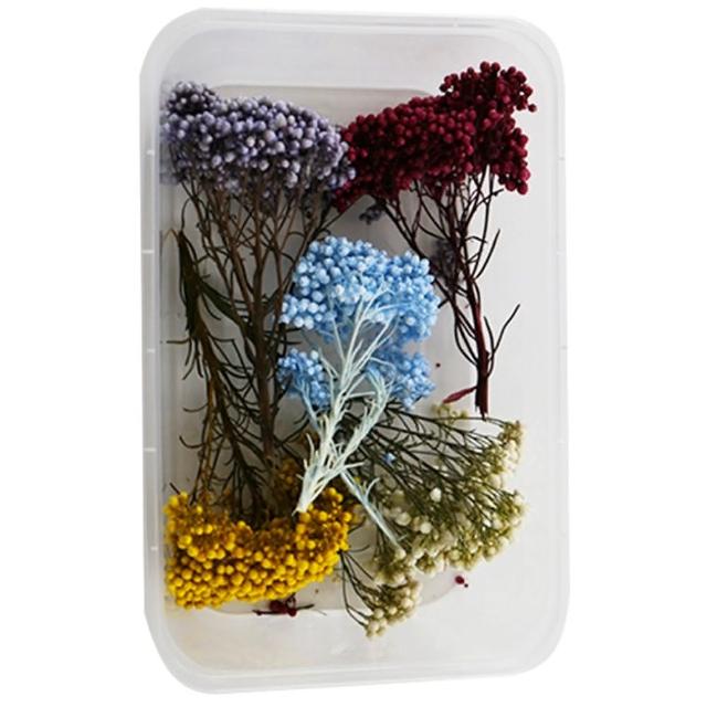 【A-ONE 匯旺】乾燥永生花 不凋滿天星 捧花胸花桌花花材 乾燥花束材料 不凋花玫瑰 鄉村風 拍攝道具(A10)