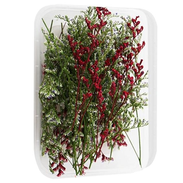 【A-ONE 匯旺】裝飾 乾燥花材料包 永生花材料包 花材包 DIY 手作 桌花 永生玫瑰 花籃 花盅(A12)
