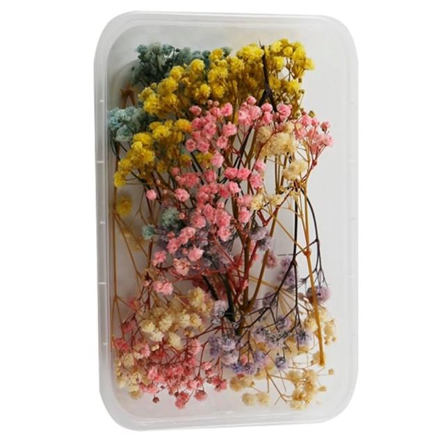 【A-ONE 匯旺】天然乾燥花 隨機出貨 乾花 花藝材料包 永生花 浮油花 植物果實(D01)