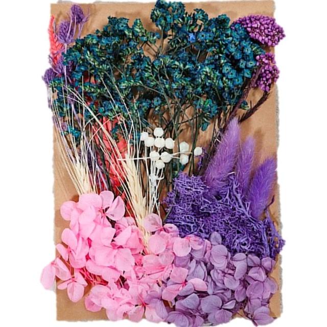 【A-ONE 匯旺】天然乾燥花 材料包 乾燥花材 花藝材料 松果 乾花 永生花 橡實 花瓣 拍照道具 婚禮(C06)