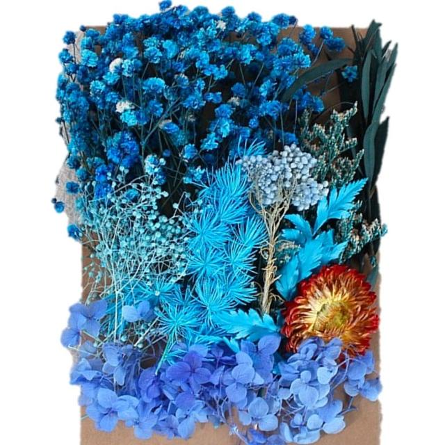 【A-ONE 匯旺】天然乾燥花 植物果實 拍照道具 花材 花藝材料包 浮游花 永生花 浮油花 乾花 乾燥花材(C11)
