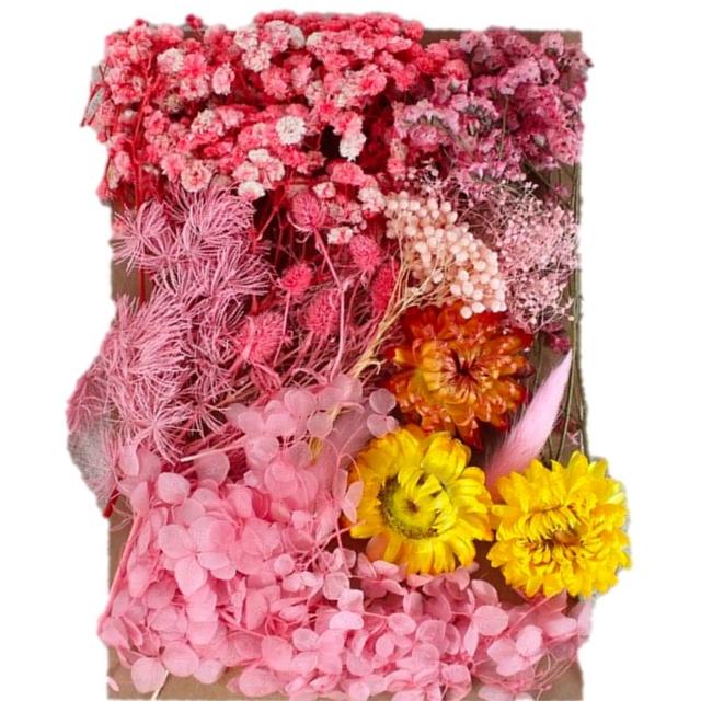 【A-ONE 匯旺】天然乾燥花 植物果實 拍照道具 花材 花藝材料包 浮游花 永生花 浮油花 乾花 乾燥花材(C11)