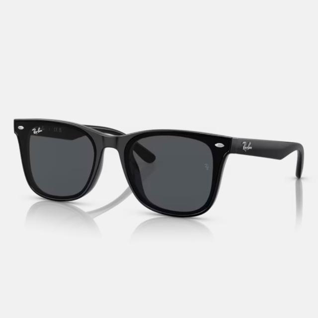 【RayBan 雷朋】亞洲版 韓系流行抗UV太陽眼鏡組合(RB4391D、RB4392D、RB4423D、RB4458D、RB4461D)