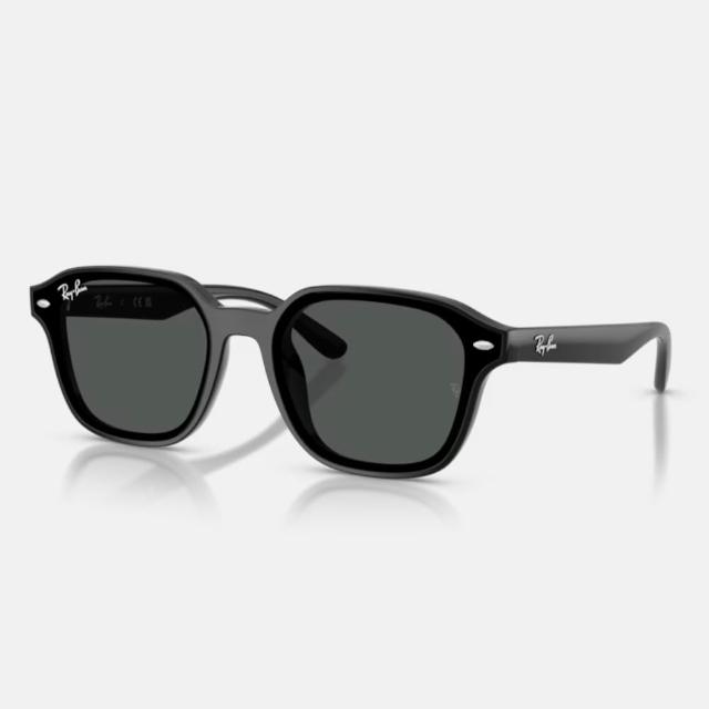 【RayBan 雷朋】亞洲版 韓系流行抗UV太陽眼鏡組合(RB4391D、RB4392D、RB4423D、RB4458D、RB4461D)