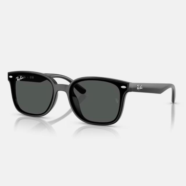 【RayBan 雷朋】亞洲版 韓系流行抗UV太陽眼鏡組合(RB4391D、RB4392D、RB4423D、RB4458D、RB4461D)