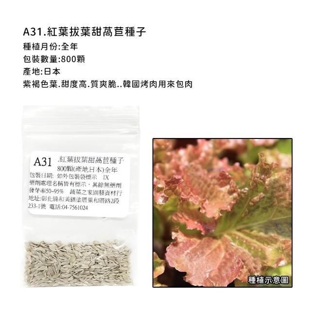 【蔬菜工坊】新手短期收成全年可栽培葉菜類種子系列-各種包裝數