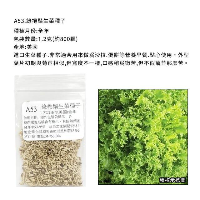 【蔬菜工坊】新手短期收成全年可栽培葉菜類種子系列-各種包裝數