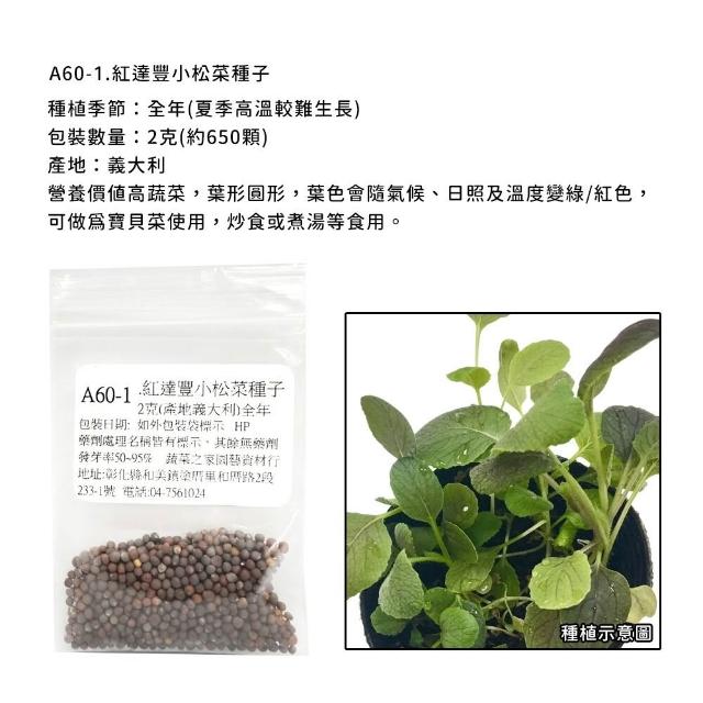 【蔬菜工坊】新手短期收成全年可栽培葉菜類種子系列-各種包裝數