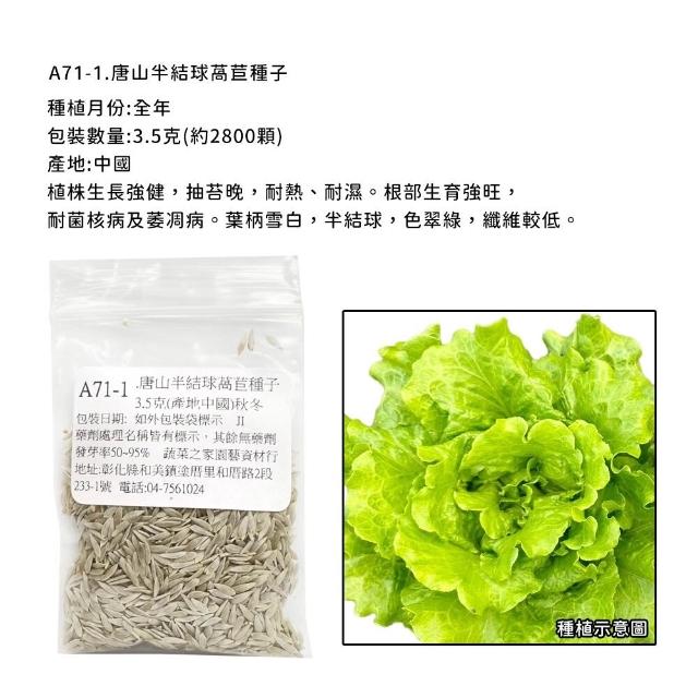 【蔬菜工坊】新手短期收成全年可栽培葉菜類種子系列-各種包裝數