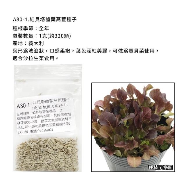 【蔬菜工坊】新手短期收成全年可栽培葉菜類種子系列-各種包裝數