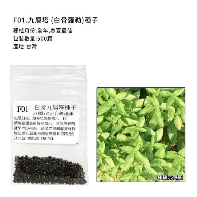 【蔬菜工坊】香辛類種子系列-各包裝數量詳見內文及圖片說明(九層塔 芹菜 芫荽 香菜)