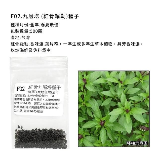 【蔬菜工坊】香辛類種子系列-各包裝數量詳見內文及圖片說明(九層塔 芹菜 芫荽 香菜)
