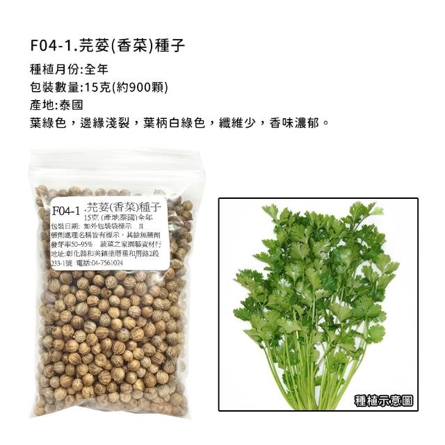 【蔬菜工坊】香辛類種子系列-各包裝數量詳見內文及圖片說明(九層塔 芹菜 芫荽 香菜)