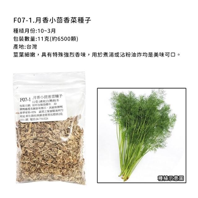 【蔬菜工坊】香辛類種子系列-各包裝數量詳見內文及圖片說明(九層塔 芹菜 芫荽 香菜)