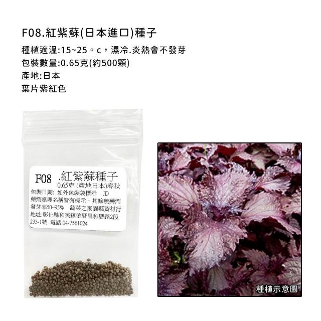 【蔬菜工坊】香辛類種子系列-各包裝數量詳見內文及圖片說明(九層塔 芹菜 芫荽 香菜)