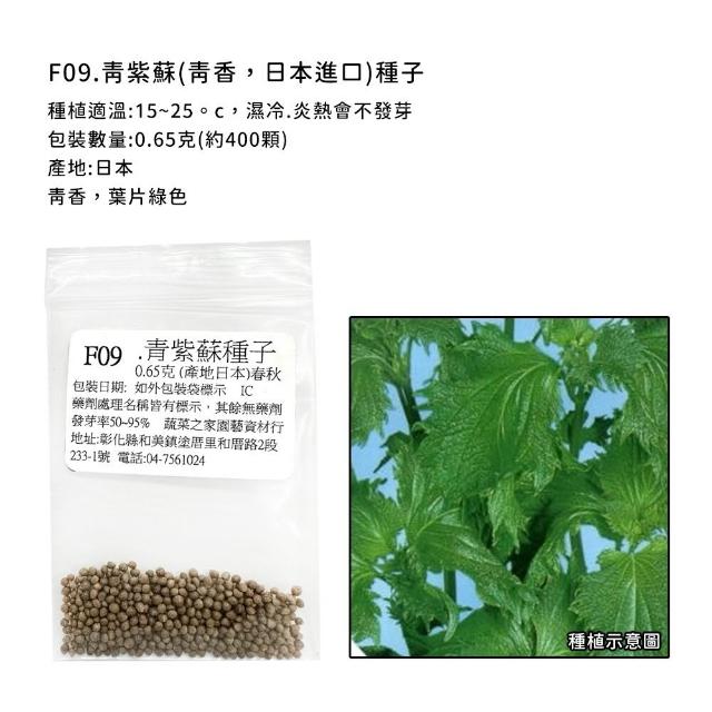 【蔬菜工坊】香辛類種子系列-各包裝數量詳見內文及圖片說明(九層塔 芹菜 芫荽 香菜)