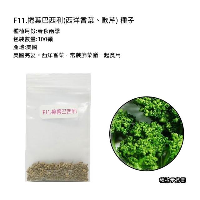 【蔬菜工坊】香辛類種子系列-各包裝數量詳見內文及圖片說明(九層塔 芹菜 芫荽 香菜)