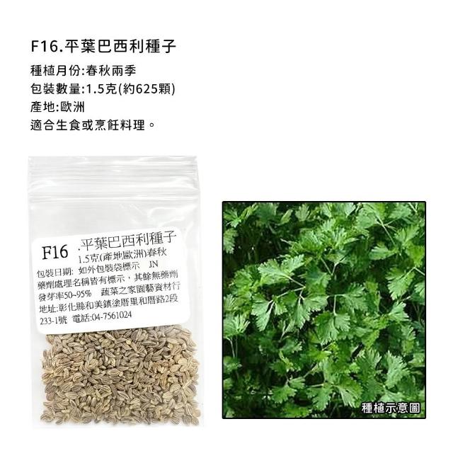 【蔬菜工坊】香辛類種子系列-各包裝數量詳見內文及圖片說明(九層塔 芹菜 芫荽 香菜)