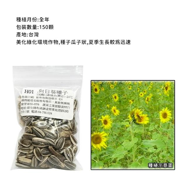 【蔬菜工坊】冬季可栽培花卉種子系列-各包裝數量詳見內文及圖片(魯冰花 波斯菊 蜀葵 金盞花)