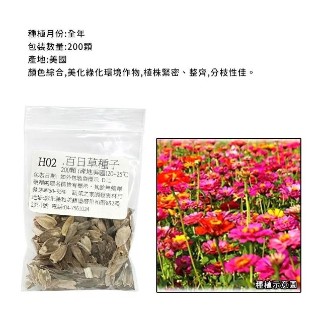 【蔬菜工坊】冬季可栽培花卉種子系列-各包裝數量詳見內文及圖片(魯冰花 波斯菊 蜀葵 金盞花)