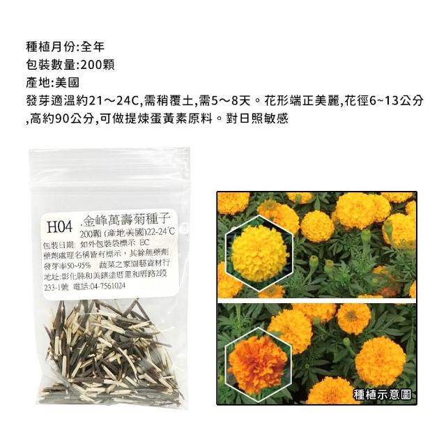 【蔬菜工坊】冬季可栽培花卉種子系列-各包裝數量詳見內文及圖片(魯冰花 波斯菊 蜀葵 金盞花)